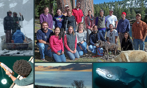Aquatic Ecosystems Analysis Lab - About Us