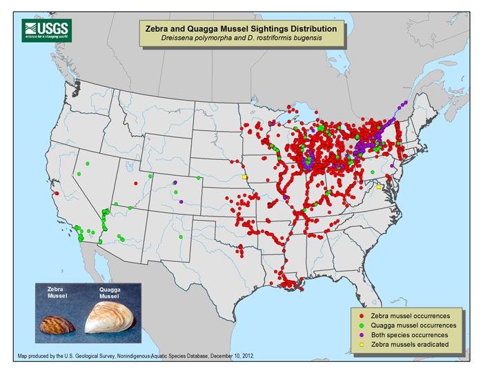 Current distribution of Quagga Mussels