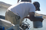 Histogram of invasive species in the Truckee Region