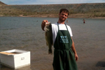 Large Mouth Bass caught on Lake Mead