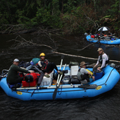 Traditional bridge crossing on the Rio Roosevelt
