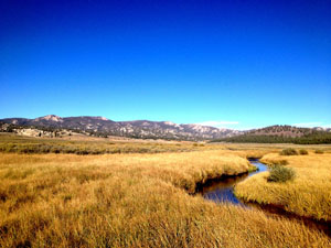 Image of the Kern Plateau