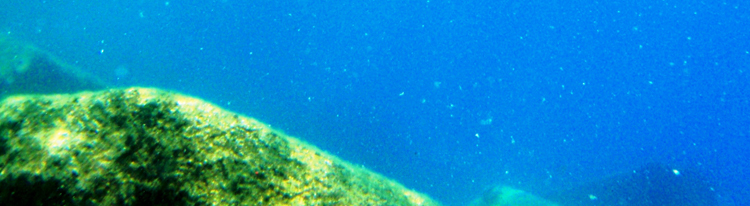 Diving in lake tahoe