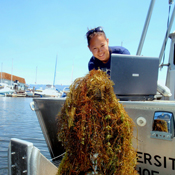 Hydroacoustic receiver covered by aquatic weed