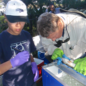 Hydroacoustic transmitter tag surgery